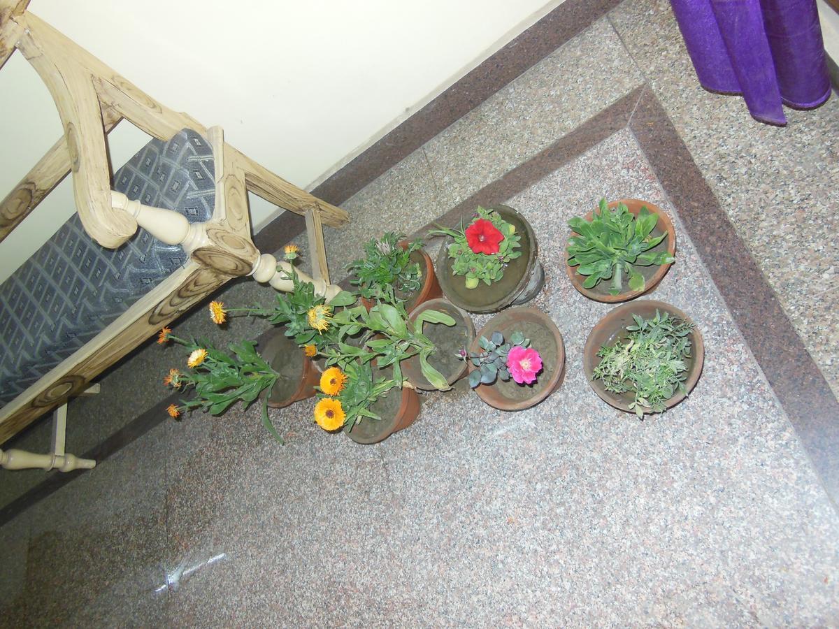 Shiva Inn Varanasi Ngoại thất bức ảnh